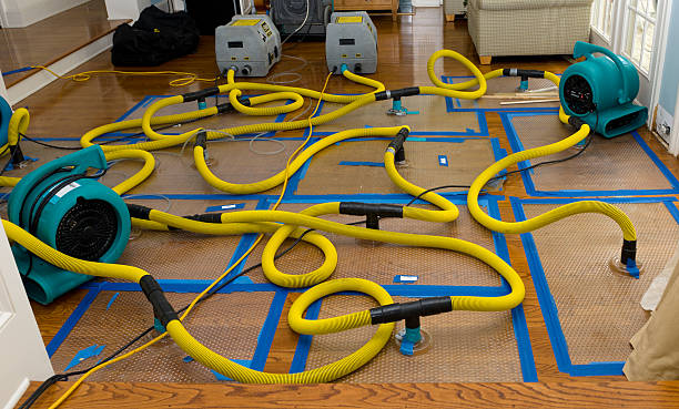Professional Basement Flood Cleanup technician working in Virginia City, NV